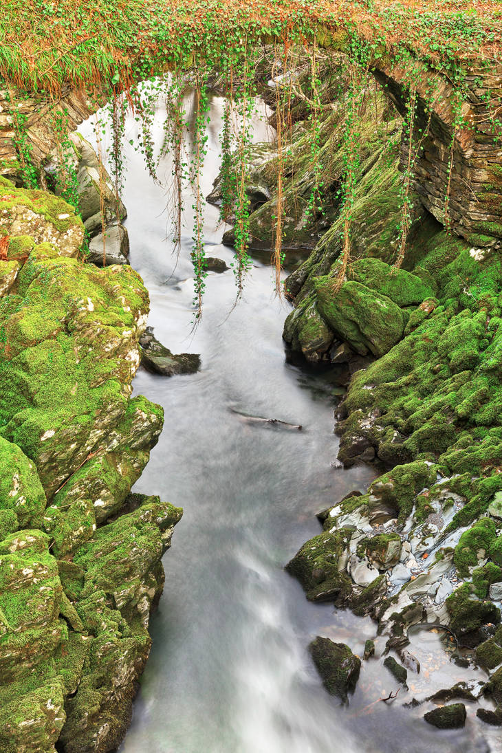 Penmachno Roman Moss Bridge by boldfrontiers