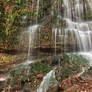 Autumn Moss Wall Waterfall