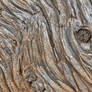 Twisted Wood Grooves
