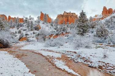 Bryce Canyon Winter Stream