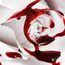 Bleeding Rose II