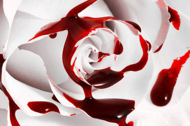 Bleeding Rose II