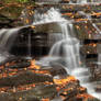 Autumn Garden Creek Cascades