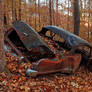 Autumn Forest Car Wreck