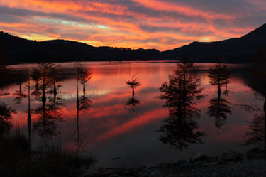 Ocoee Fire Twilight