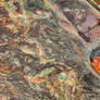 Autumn Clown Stone