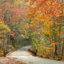 Autumn River Road