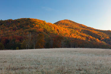 Golden Autumn Thaw - Cades Cove