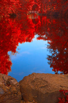 Jean-Drapeau Pond - Autumn Fantasy
