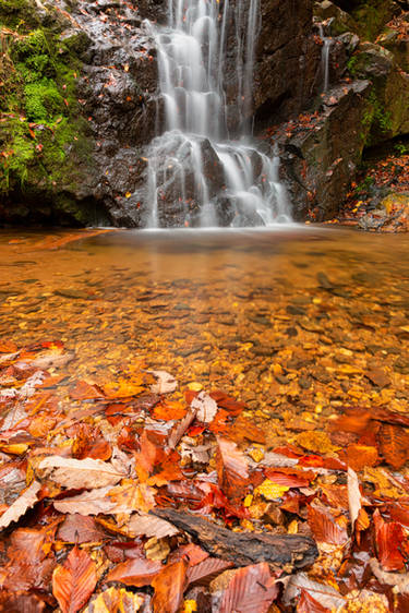 Autumn Cascade Falls