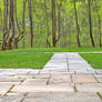Woodend Sanctuary Path