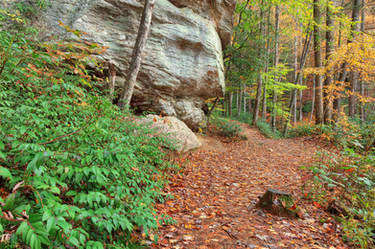 Moore Cove Guardian Trail