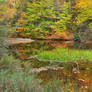 Autumn Pond of Hickory Run