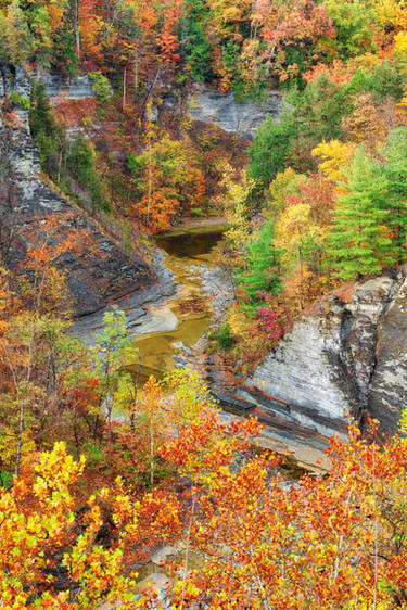 Gorgeous Autumn Gorge