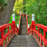 Japanese Bridge Path - Clyne Gardens