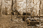 Car Wreck Forest Trail - Sepia Frost by boldfrontiers