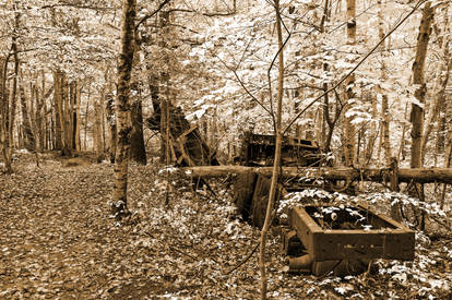 Car Wreck Forest Trail - Sepia Frost