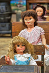 Isett Classroom Dolls