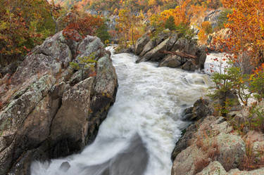 Autumn Potomac Rapids - Olmsted Island