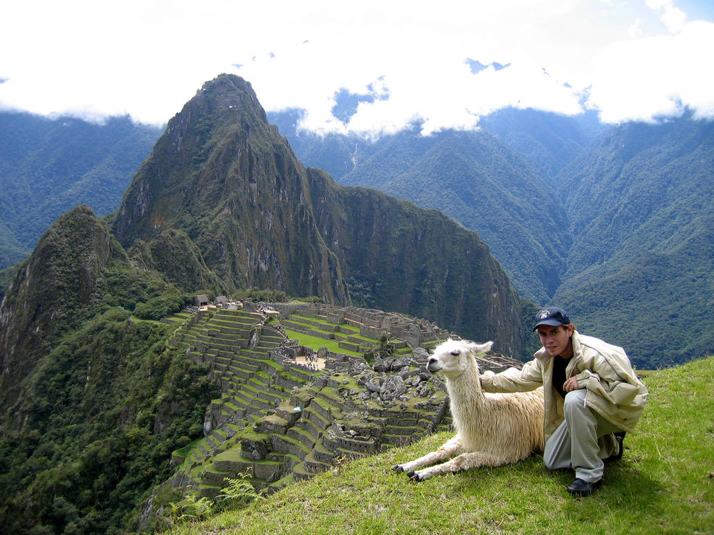 My-llama-friend-machu-picchu