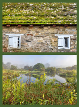 Nature Flaunting Architecture (Diptych)
