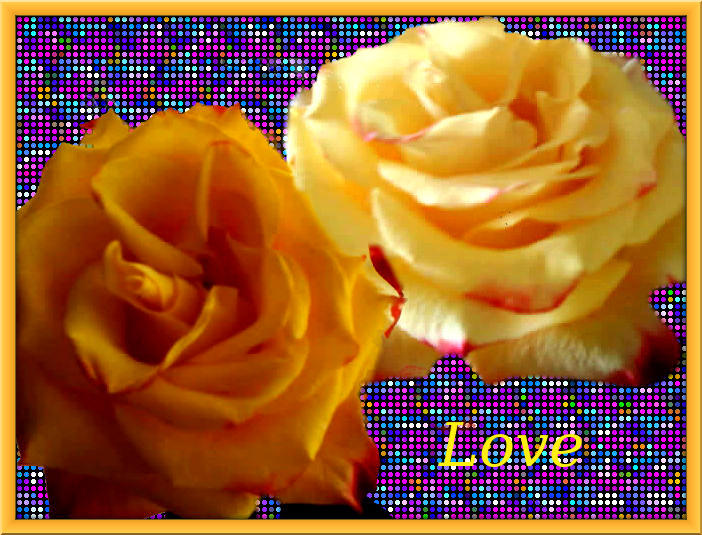 The duo roses. by Mladavid on DeviantArt