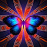 Butterfly, Fractal2