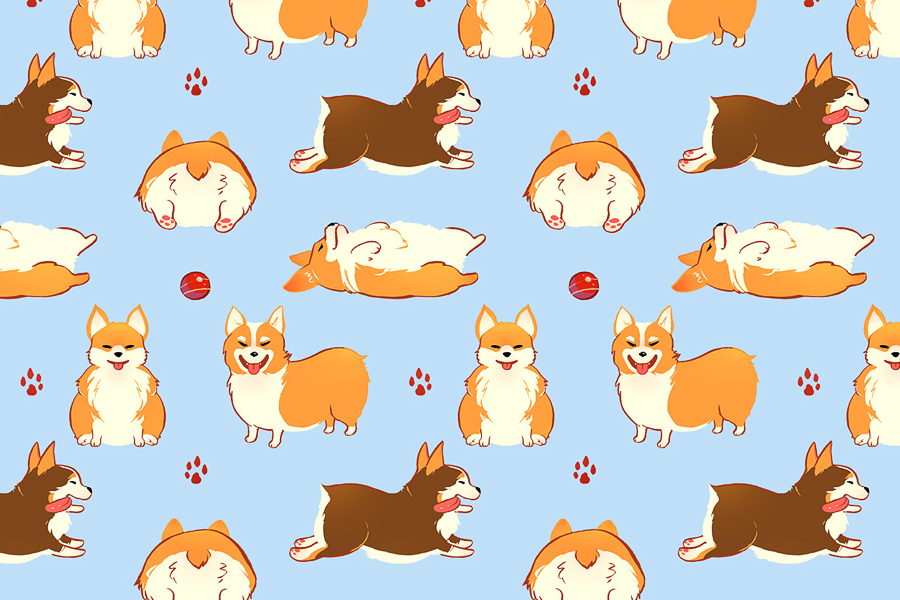 Corgis!