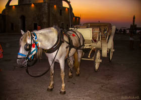 Waiting For Tourists