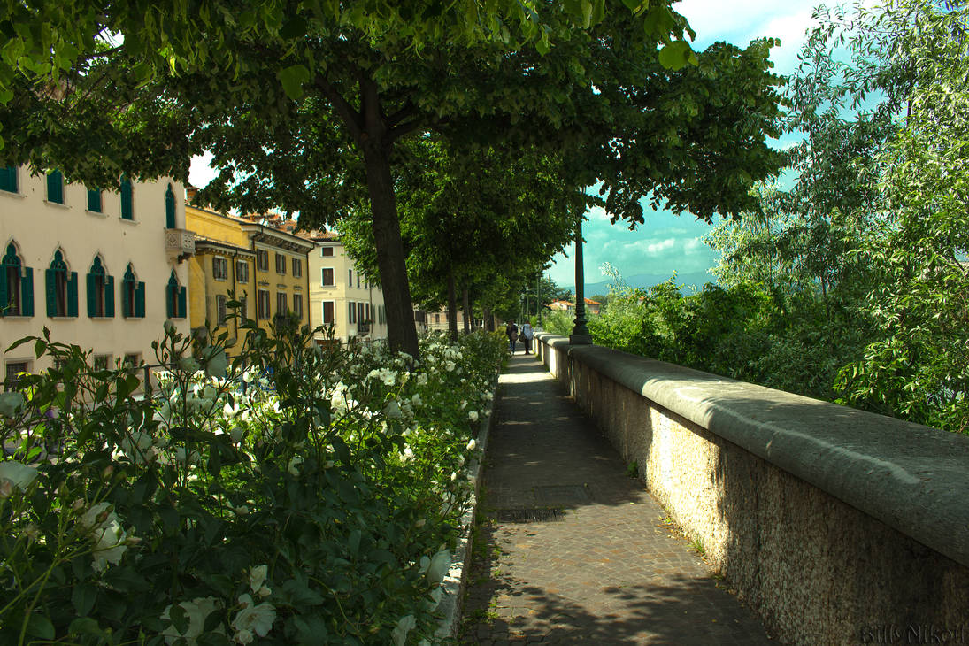 Verona 45 by BillyNikoll Verona 45 by BillyNikoll