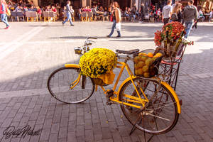 The yellow bike