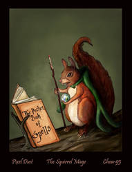 Squirrel Mage