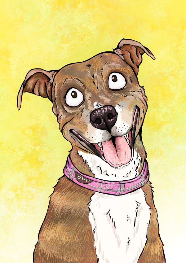 Staffie commission