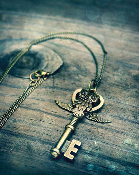 Owl Key Charm Necklace v.2