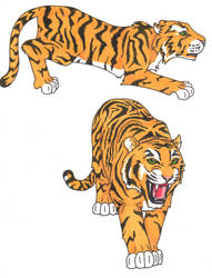 Tiger