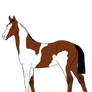 Tobaino TB Adopt