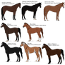 Pasha Nana Racer Adopts