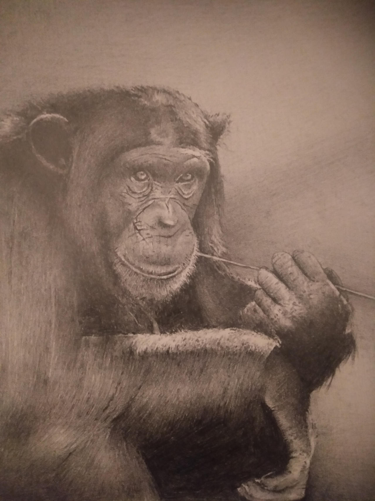 Contemplating by Richmond147 on DeviantArt