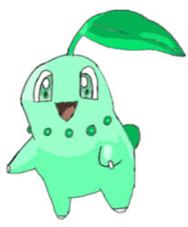 Chikorita