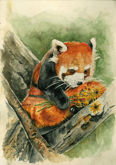 Red panda with yellow flowers