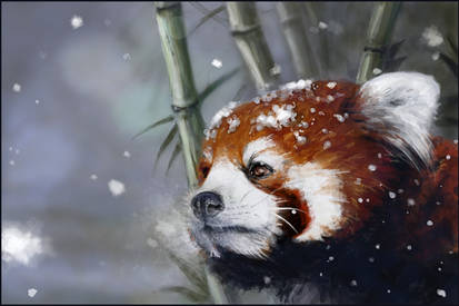 Explore the Best Red_panda Art | DeviantArt