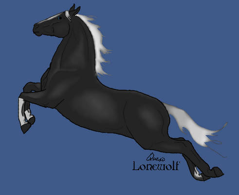 Black and Silver horse