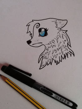 Wolf drawing '3'
