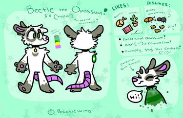 Beetle's ref. sheet!