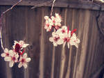 Spring by JamesDarrow