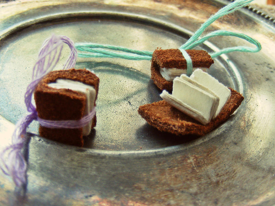 Mini Leather Books by JamesDarrow
