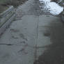 Canal