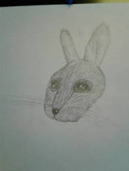 Rabbit Head