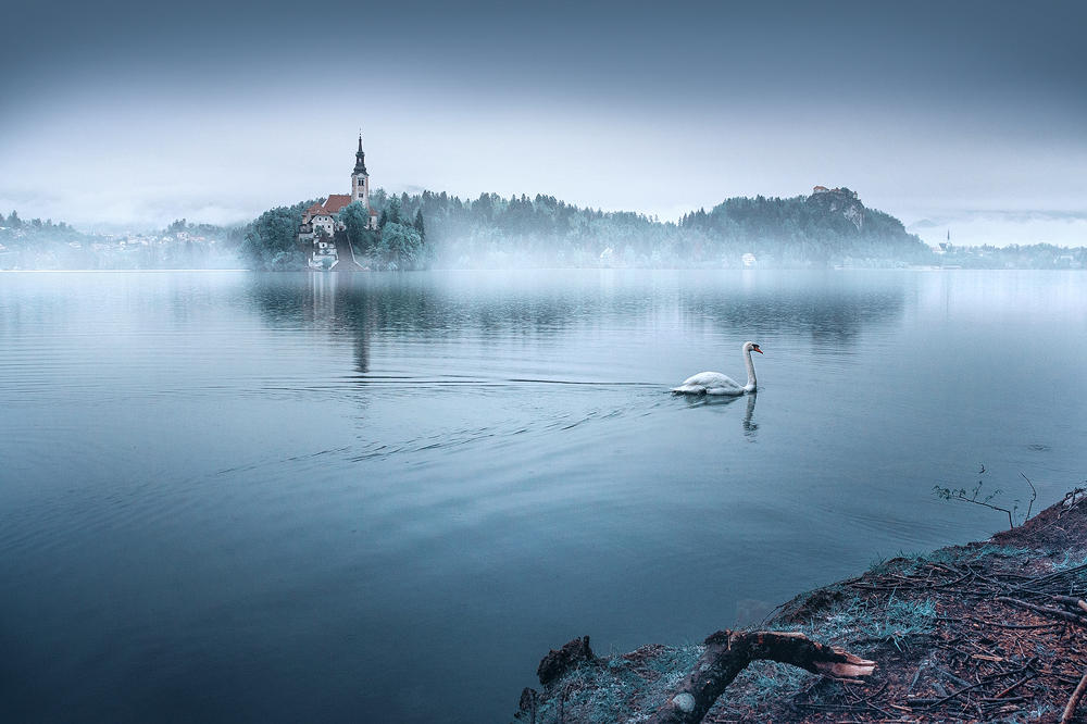 ...bled XI... by roblfc1892