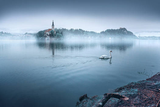 ...bled XI...